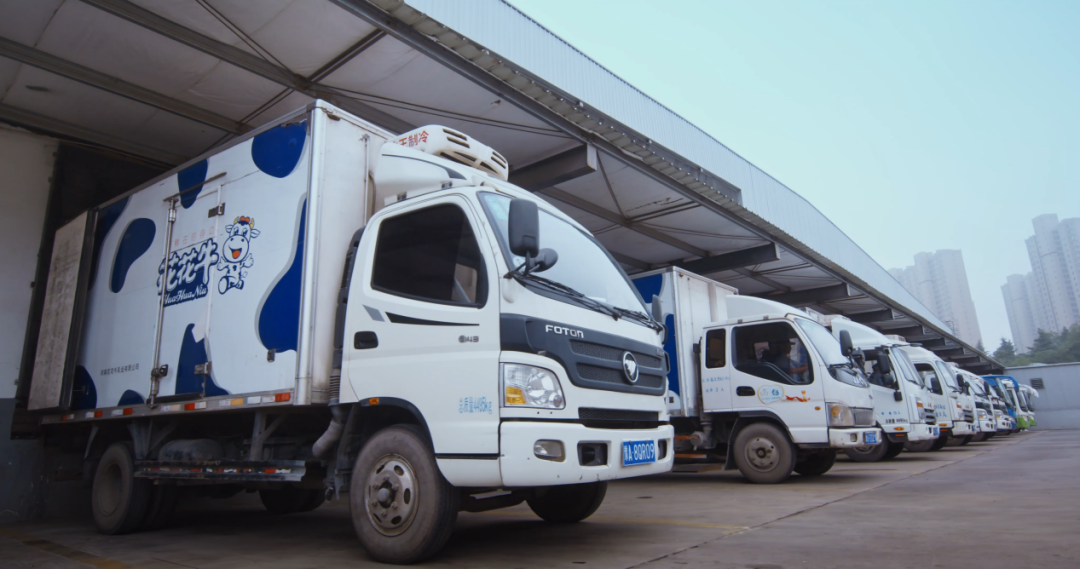 花花牛丨北京家音順達(dá)蒞臨花花牛乳業(yè)集團(tuán)參觀(guān)訪(fǎng)談