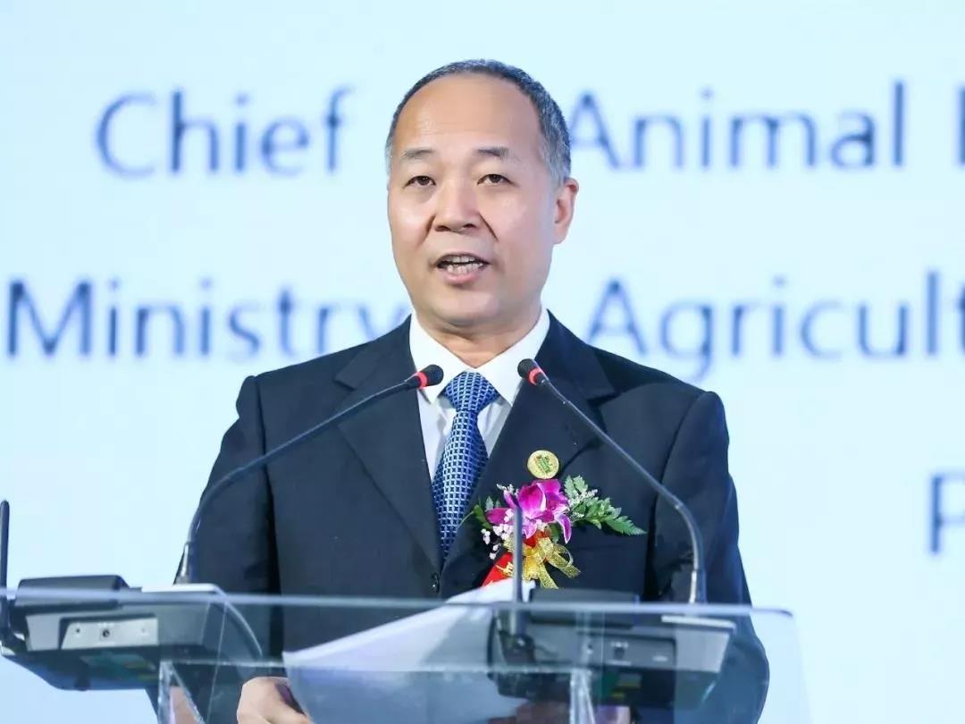 SDDDC走進(jìn)河南，看看花花牛的國(guó)際范兒！