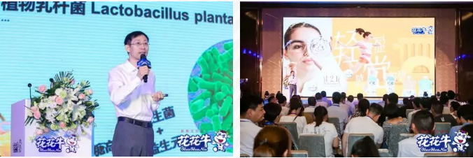 花花牛輕覺上市暨優(yōu)質(zhì)乳工程認(rèn)證發(fā)布會(huì)，盛大啟幕！