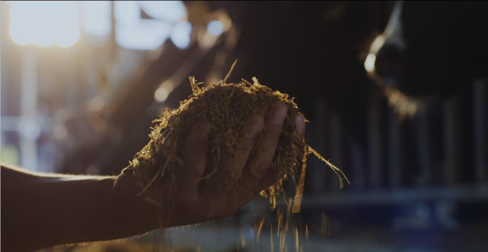 又雙叒叕獲獎啦！花花牛榮獲“乳品質(zhì)量安全管理 優(yōu)秀企業(yè)”