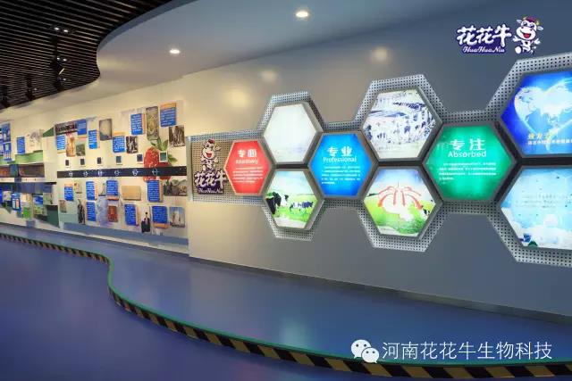 花花牛：務(wù)實、創(chuàng)新領(lǐng)潮市場 大企業(yè)體現(xiàn)大擔(dān)當(dāng)
